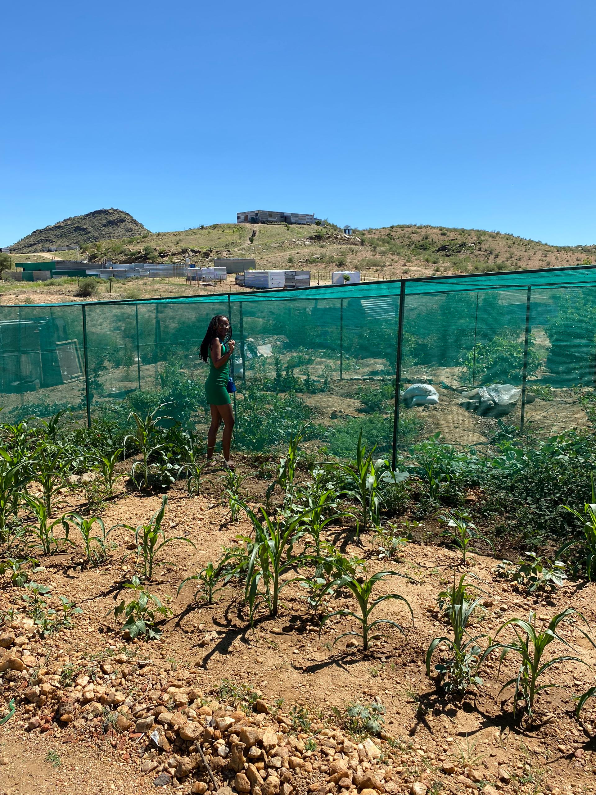 Community garden site visit
